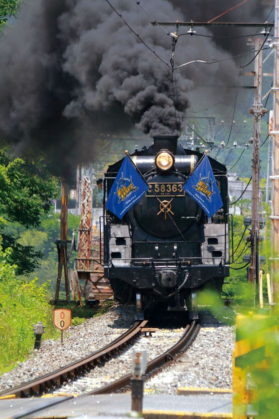 ワイルドナイツと秩父鉄道SLが4年ぶりのコラボ
「SL埼玉パナソニックワイルドナイツエクスプレス」を
2026年9月5日(土)・6日(日)に運行