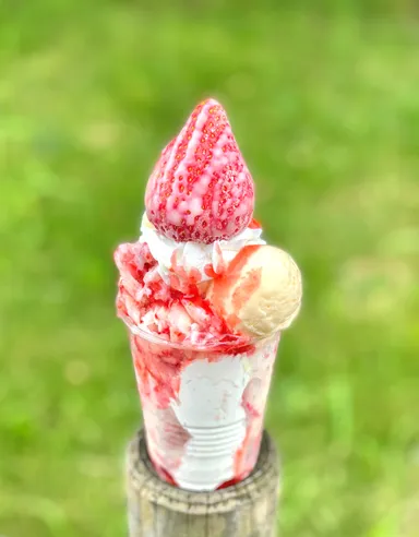 【ベリーズベリー】