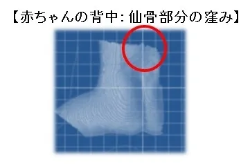 赤ちゃんの背中：仙骨部分の窪み