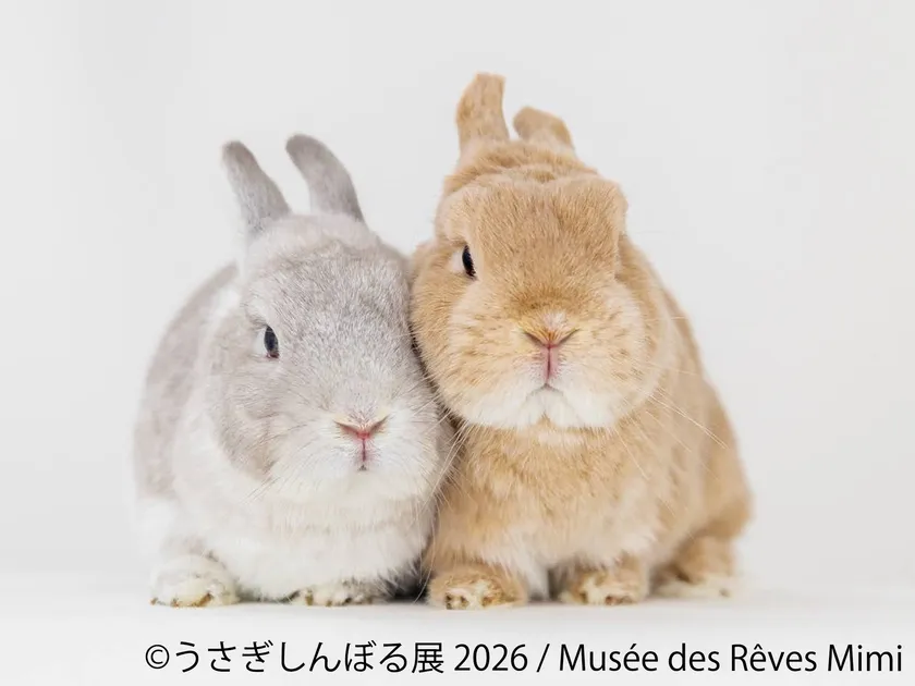 展示作品：Musee des Reves Mimi