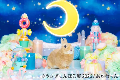 展示作品：あかねちん