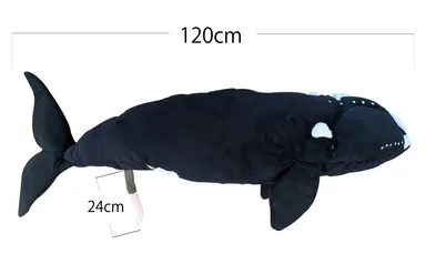 セミクジラBIGぬいぐるみ（サイズ入り）