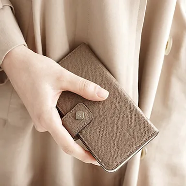 手持ちイメージ