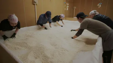 酒米と手仕事