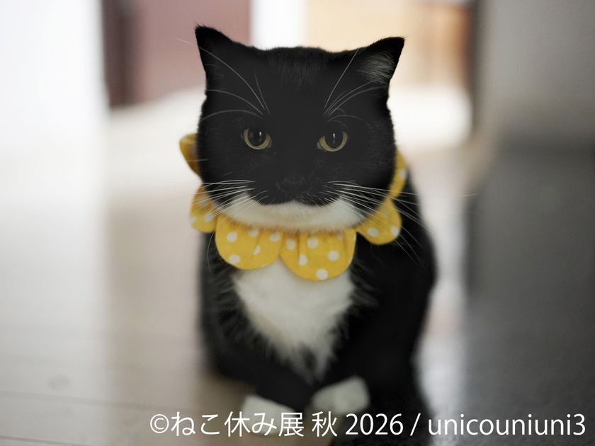 SNSで人気の猫作品が名古屋に集結!「ねこ休み展 秋 2026」を
9/19(土)より開催!初参加の注目猫や特別POP UP EVENTも登場