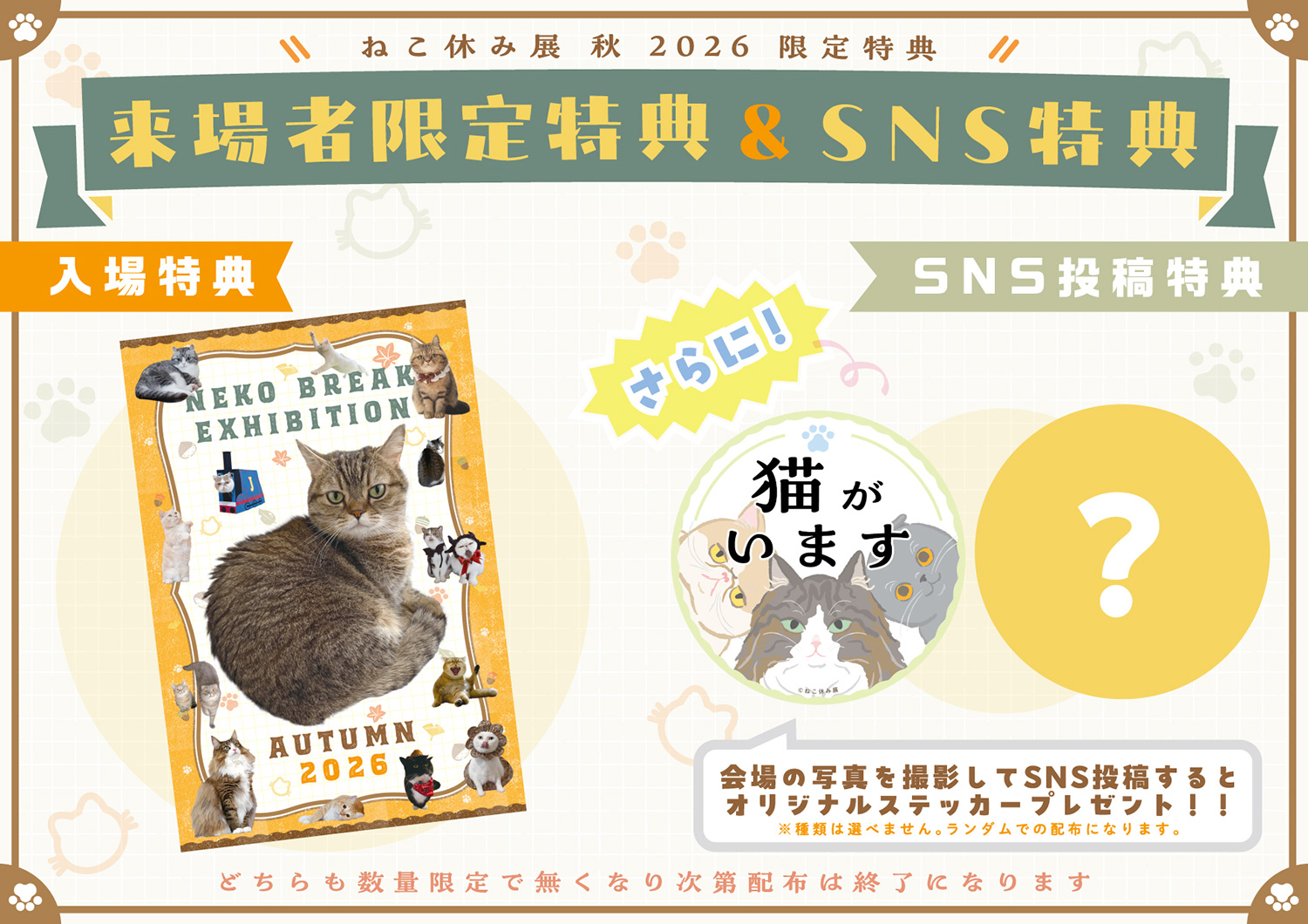 SNSで人気の猫作品が名古屋に集結！「ねこ休み展 秋 2026」を 9/19(土