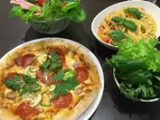 植物工場野菜をふんだんに使ったピッツァやサラダ(ピッツェリア「Monica」)