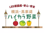 LED菜園産・安心・安全 横浜・馬車道 ハイカラ野菜ブランドロゴ