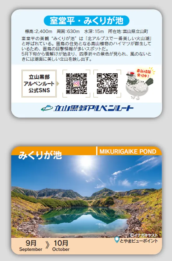 ご注文の方先着800名様に 秋版みくりが池カードをプレゼント