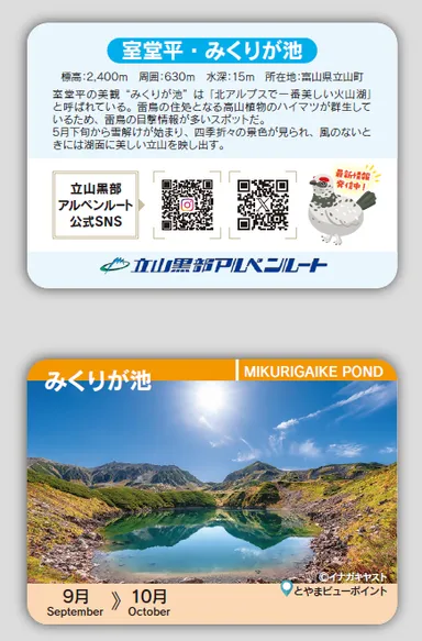 ご注文の方先着800名様に 秋版みくりが池カードをプレゼント