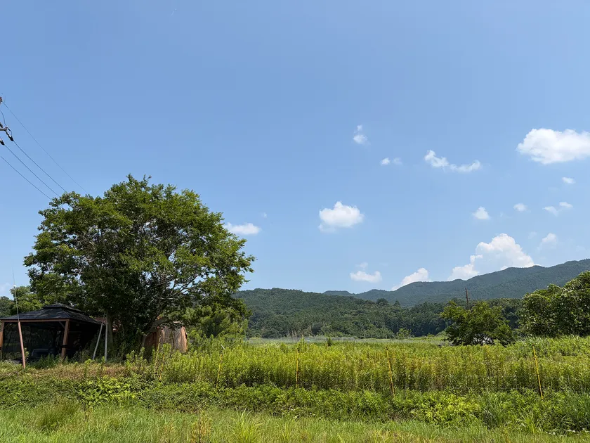 ひるさいど飛鳥の風景