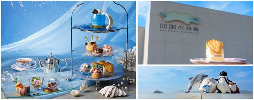 【四国水族館×JRホテルクレメント徳島】
初コラボレーション
エイくんやチンアナゴが可愛いスイーツに！
海の世界を楽しむアフタヌーンティーが徳島に登場！