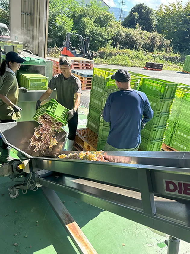 甲州仕込み