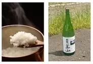 純米吟醸「里山」と棚田米
