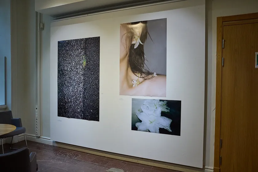 2025年夏にストックホルムで開催された共同写真展「FLOWER展」(2)