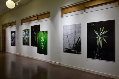 2025年夏にストックホルムで開催された共同写真展「FLOWER展」(1)