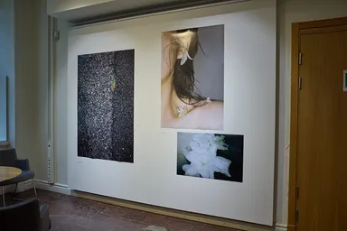 2025年夏にストックホルムで開催された共同写真展「FLOWER展」(2)