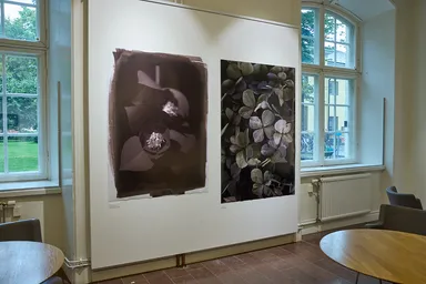 2025年夏にストックホルムで開催された共同写真展「FLOWER展」(3)