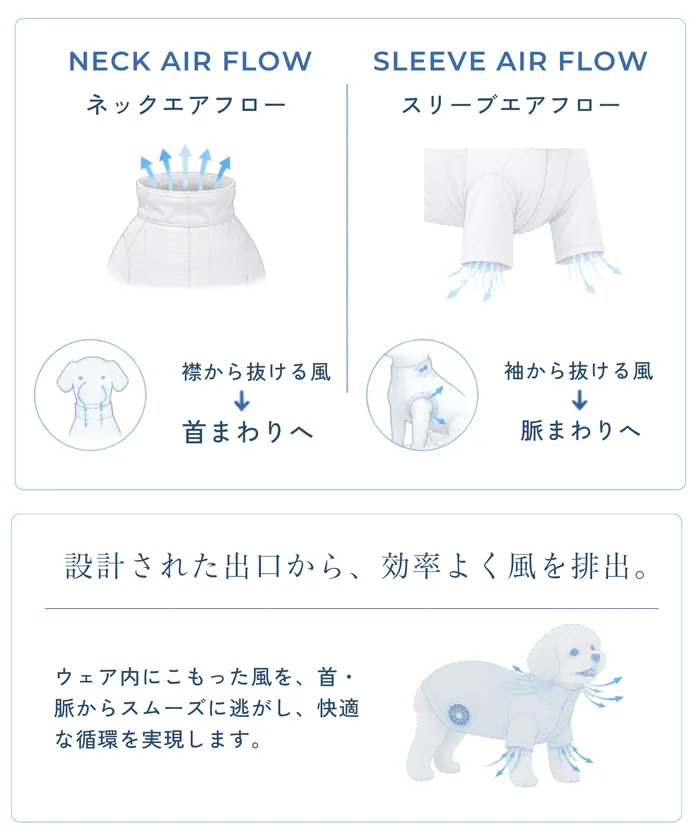 風の流れのメカニズム