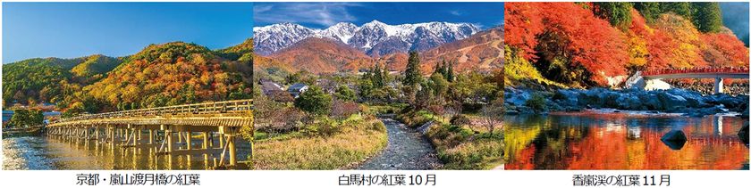 秋から年末年始の旅を応援
「JRで行く鉄道の旅〈秋〉」タイムセール
全国各地発着
8月27日（木）午前0時よりスタート（ウェブ限定）