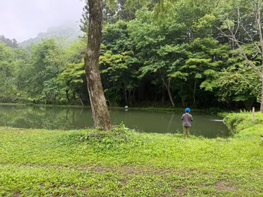 釣り堀の様子3