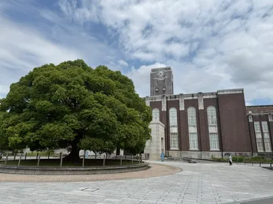 京都大学