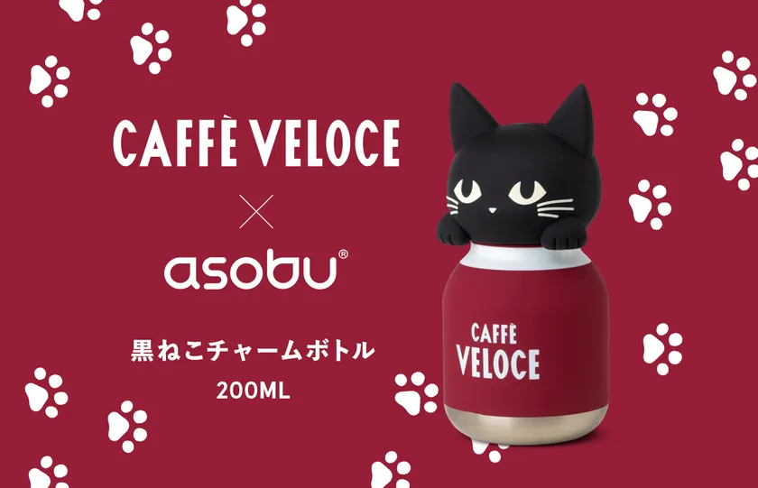 CAFE VELOCE×asobu