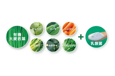 国産有機大麦若葉・国産野菜＋植物性乳酸菌