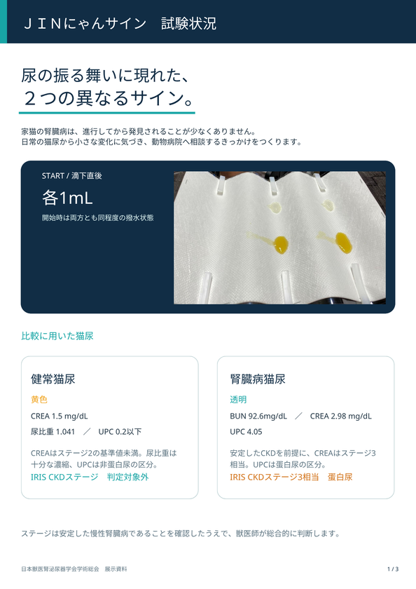 猫の尿から「沈黙の臓器」腎臓の変化に気づく
新たな研究を日本獣医腎泌尿器学会にて公開!