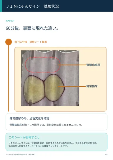 図：『JINにゃんサイン』滴下60分後におけるシート裏面の呈色変化比較(健常猫尿のみ呈色を確認)