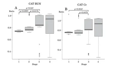 図：猫の慢性腎臓病ステージ別におけるBUN(尿素窒素)・Cr(クレアチニン)比率の推移および有意差検証データ(学術研究発表資料より抜粋)
