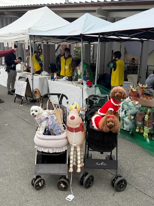 12月開催のわんこフェスタin富岡の様子