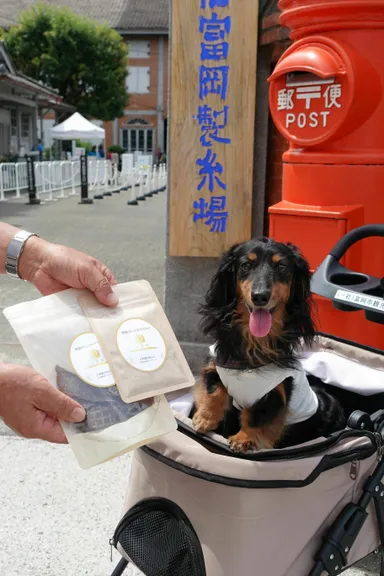 富岡製糸場5,555匹目の来場　東京都から訪れたジェスちゃん(7歳)