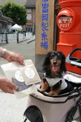 富岡製糸場5,555匹目の来場　東京都から訪れたジェスちゃん(7歳)