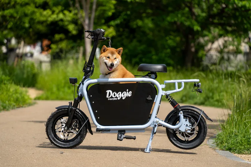 Dog in Doggie_Lite2