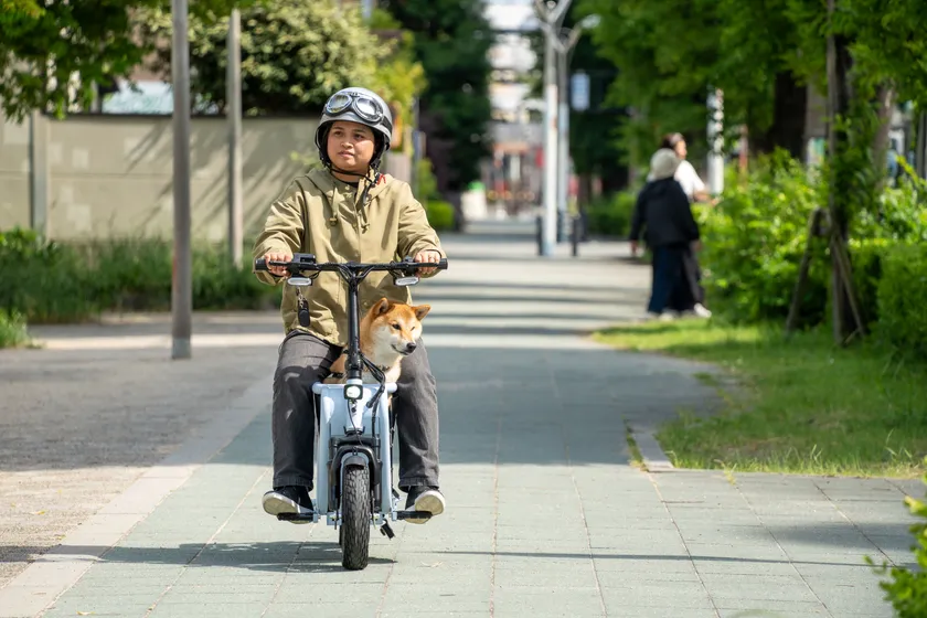 Dog in Doggie_Lite3