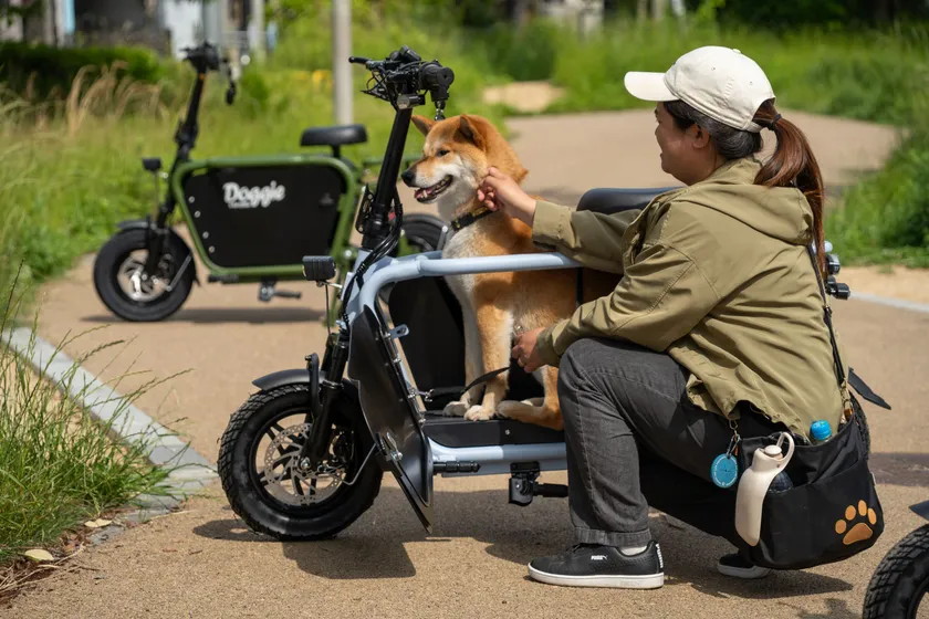 Dog in Doggie_Lite5