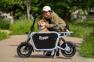 Dog in Doggie_Lite1