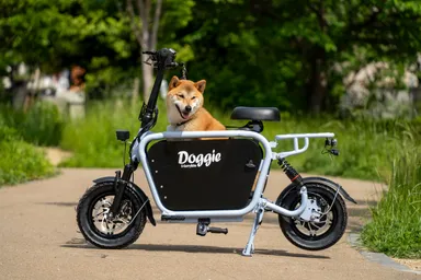 Dog in Doggie_Lite2