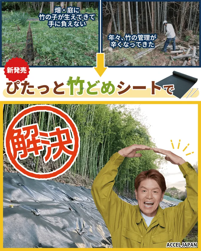 ぴたっと竹どめシート発売 1