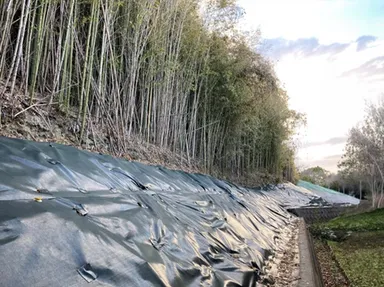 ぴたっと竹どめシートで解決