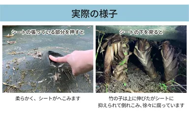 実際の様子