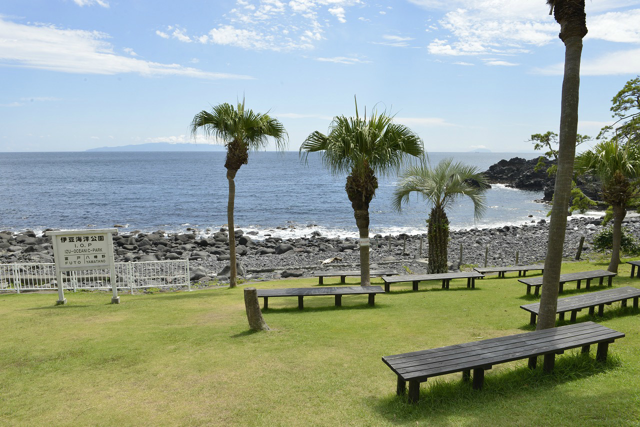 「伊豆海洋公園」の画像検索結果