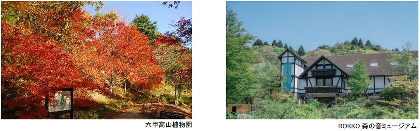 六甲高山植物園 ROKKO森の音ミュージアム
文化の秋 月曜こども無料キャンペーン
秋の月曜日は、こども入場無料