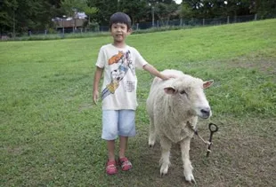 ふれあい動物ランド