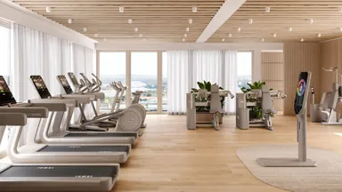 Technogym Sand Stoneコレクション(1)