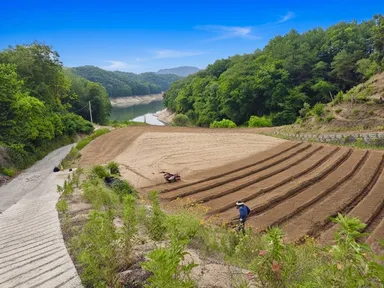 陶山秘苑ファーム