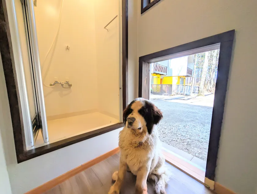 愛犬専用の足洗い場