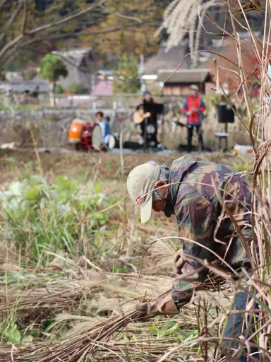 地域住民と一緒に茅を刈り、音楽や食、交流も楽しみながら、茅場を五感で体験する「カヤ・キャン美山」3