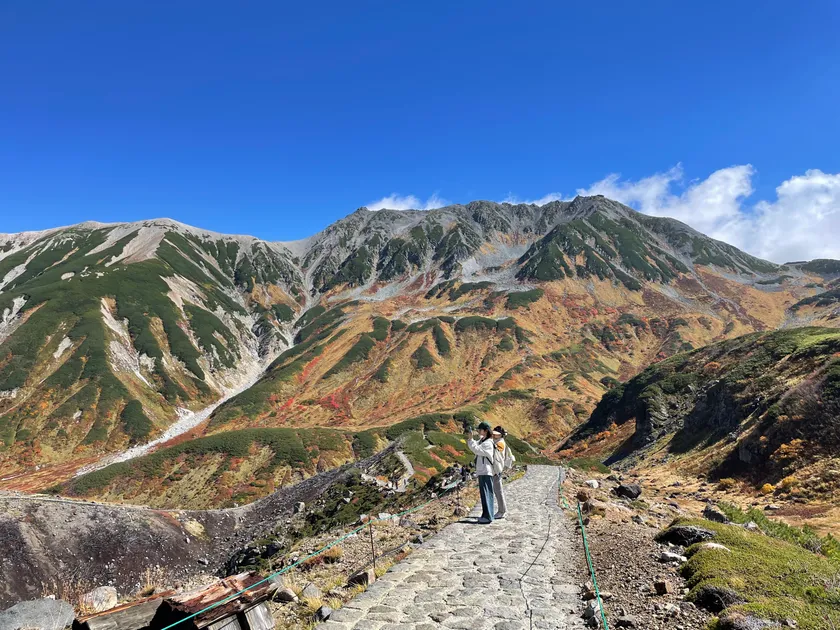 室堂平の紅葉(2025年9月)
